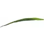 EUROPALMS Umelý list aloe (EVA), zelený, 60 cm 82530581