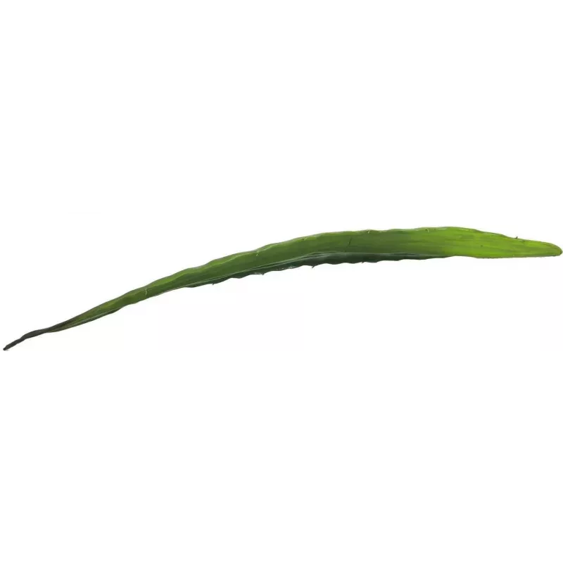 EUROPALMS Umelý list aloe (EVA), zelený, 60 cm 82530581