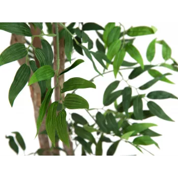 EUROPALMS Ficus Longifolia umelá rastlina, 165 cm 82506350