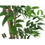EUROPALMS Ficus Longifolia umelá rastlina, 165 cm 82506350