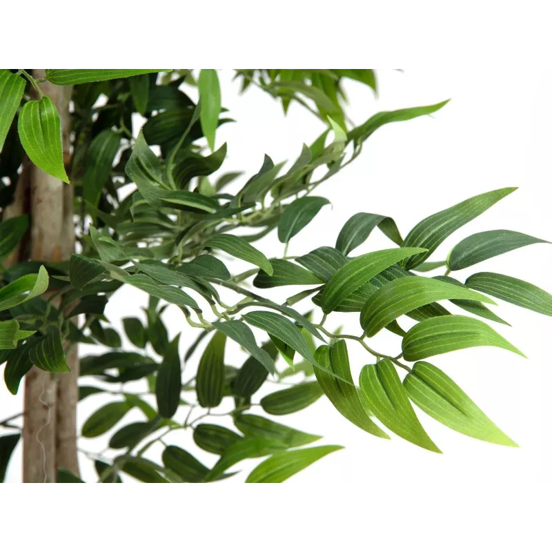 EUROPALMS Ficus Longifolia umelá rastlina, 165 cm 82506350