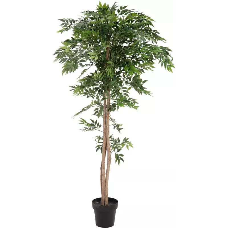 EUROPALMS Ficus Longifolia umelá rastlina, 165 cm 82506350