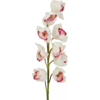 EUROPALMS vetva Cymbidium, umelá, bielo-ružová, 90 cm 82530312