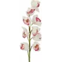 EUROPALMS vetva Cymbidium, umelá, bielo-ružová, 90 cm 82530312