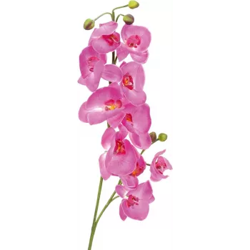 EUROPALMS umelá vetva orchidey, fialová, 100 cm 82530322