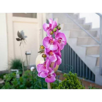 EUROPALMS umelá vetva orchidey, fialová, 100 cm 82530322