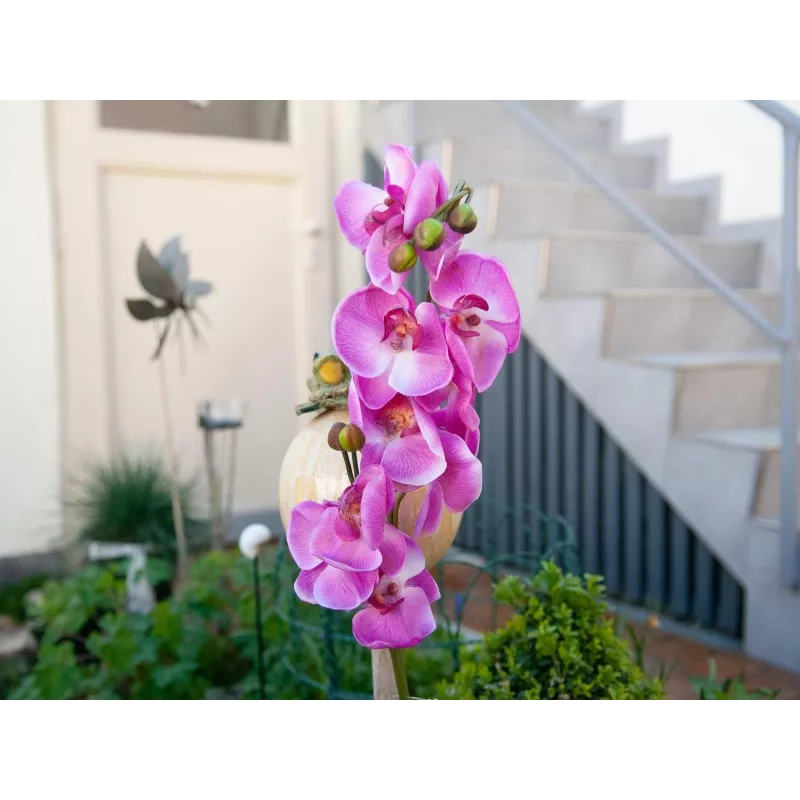 EUROPALMS umelá vetva orchidey, fialová, 100 cm 82530322