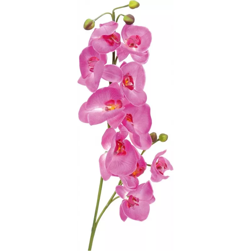 EUROPALMS umelá vetva orchidey, fialová, 100 cm 82530322