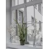EUROPALMS umelá vetva orchidey, krémovo-biela, 100 cm (82530323)