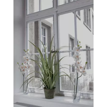 EUROPALMS umelá vetva orchidey, krémovo-biela, 100 cm (82530323)