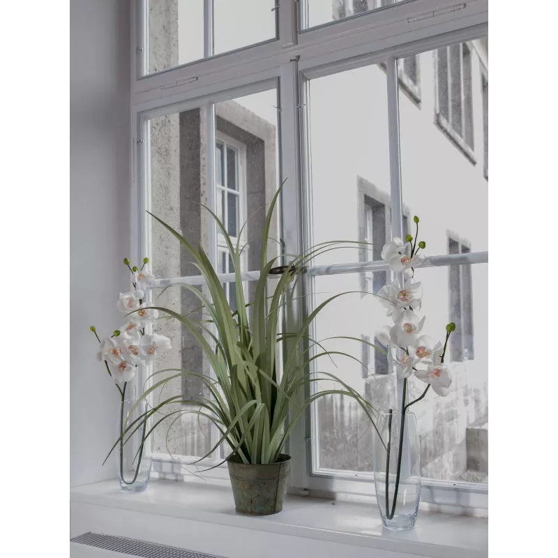 EUROPALMS umelá vetva orchidey, krémovo-biela, 100 cm (82530323)
