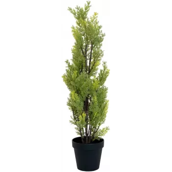 EUROPALMS umelá rastlina cypřiš Leyland, 60 cm 82606959