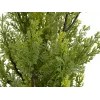 EUROPALMS umelá rastlina cypřiš Leyland, 60 cm 82606959