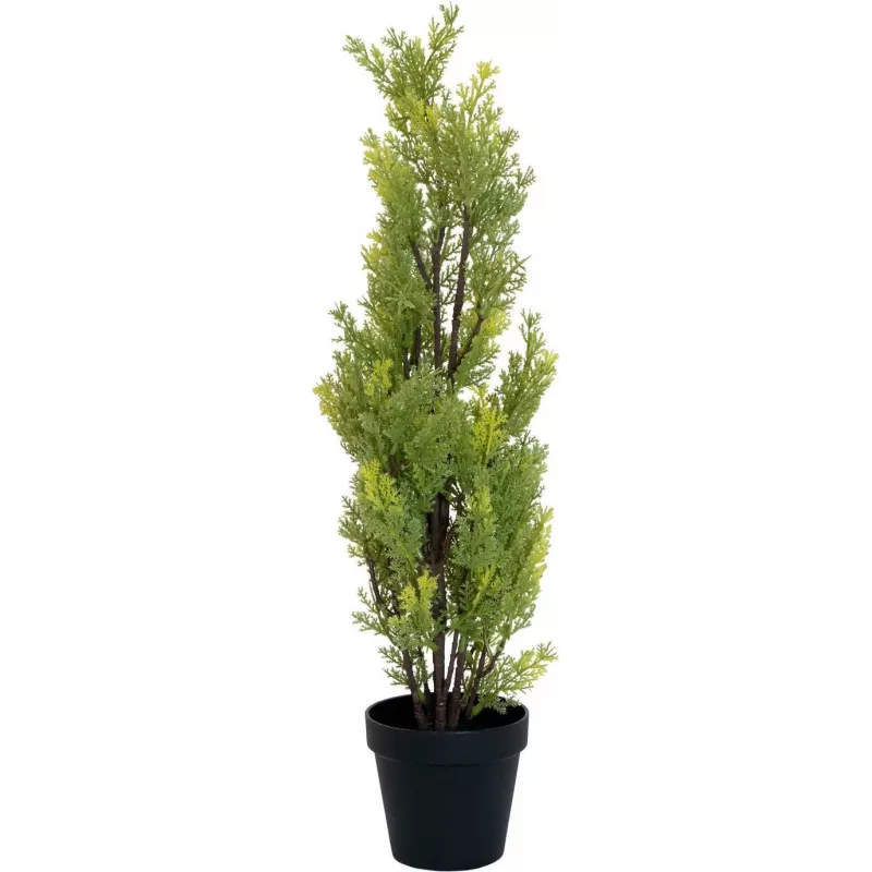 EUROPALMS umelá rastlina cypřiš Leyland, 60 cm 82606959
