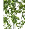 EUROPALMS umelá rastlina breza 180 cm 82505231