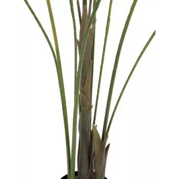 EUROPALMS veľkolistá areka umelá palma areka, 185 cm (82509442)