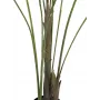 EUROPALMS veľkolistá areka umelá palma areka, 185 cm (82509442)