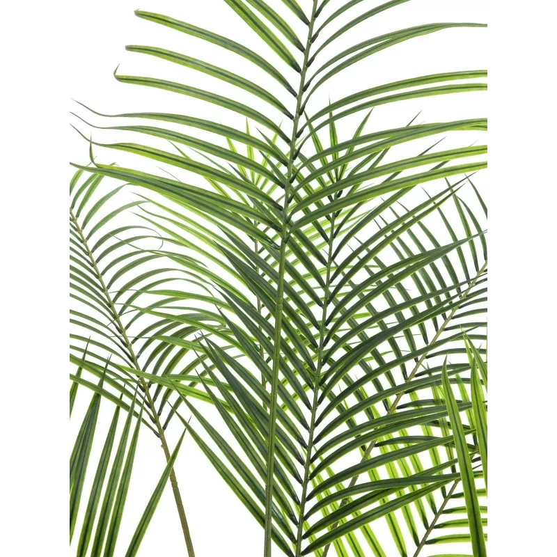 EUROPALMS veľkolistá areka umelá palma areka, 185 cm (82509442)