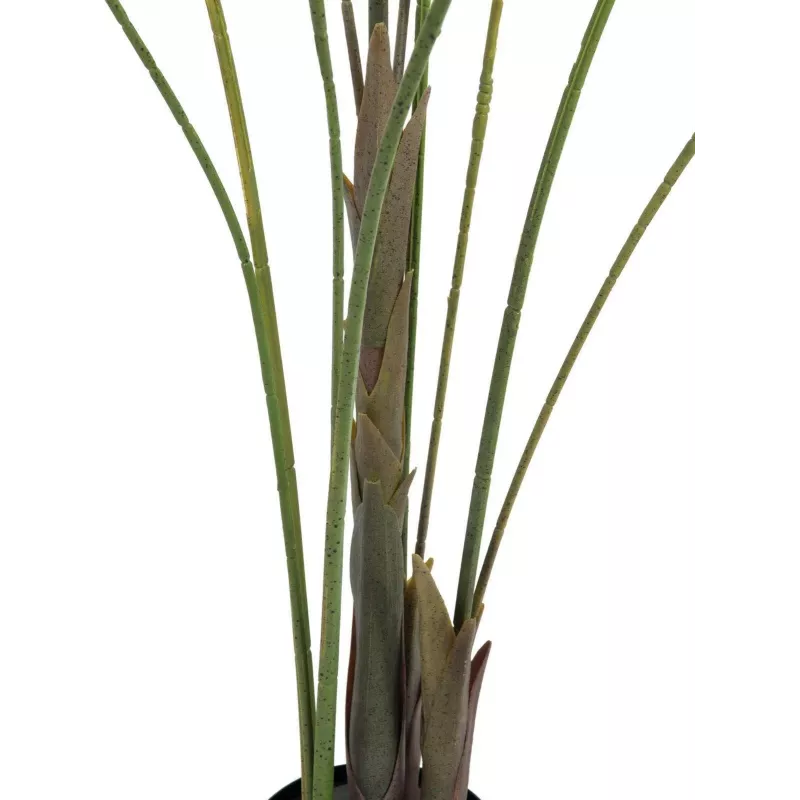 EUROPALMS veľkolistá areka umelá palma areka, 185 cm (82509442)
