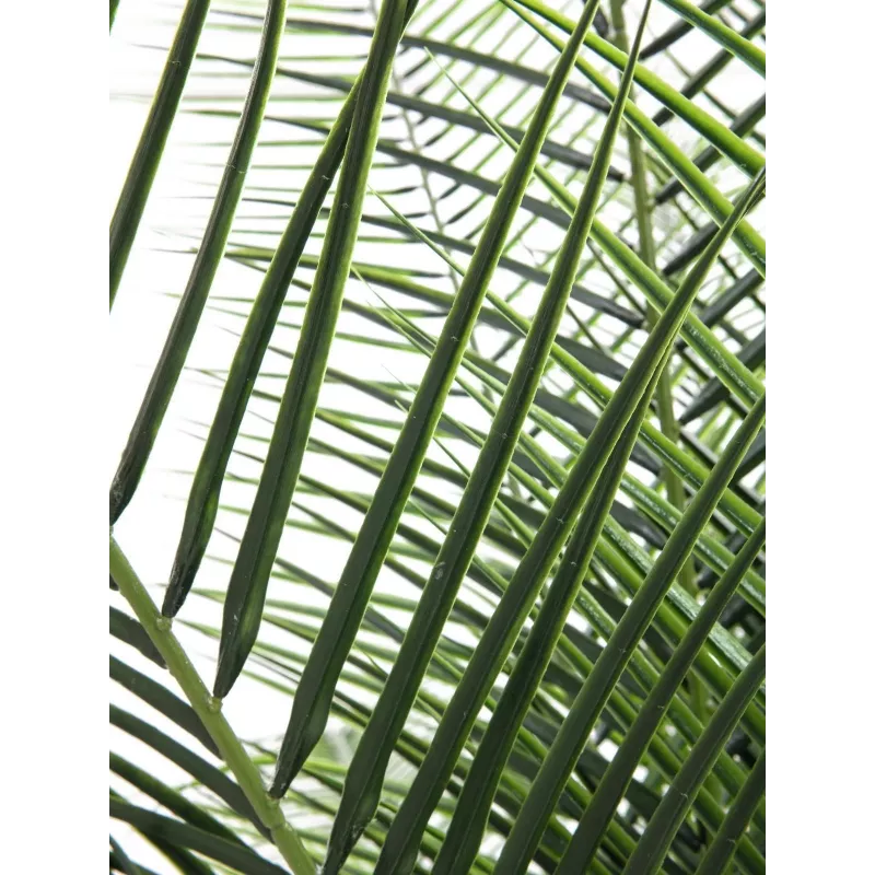 EUROPALMS Phoenix Palm Deluxe umelá rastlina 220 cm 82509722