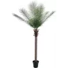 EUROPALMS Phoenix Palm Deluxe umelá rastlina 220 cm 82509722