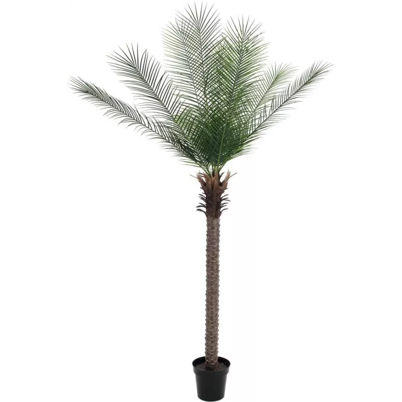EUROPALMS Phoenix Palm Deluxe umelá rastlina 220 cm 82509722