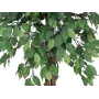EUROPALMS Ficus Benjamina viacstopková umelá rastlina, 180 cm 82506126