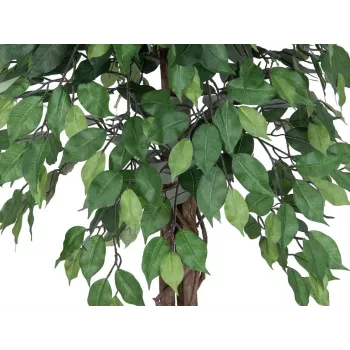 EUROPALMS Ficus Benjamina viacstopková umelá rastlina, 180 cm 82506126