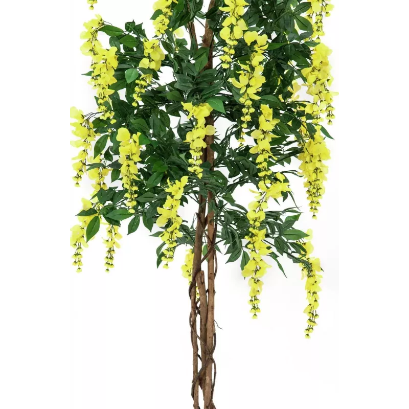 EUROPALMS zlatý dážď umelá rastlina, žltá, 180 cm 82507116