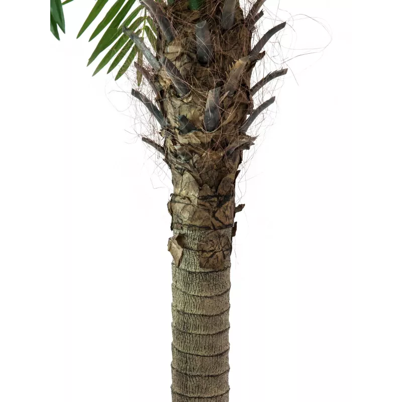 EUROPALMS Phoenix Palm Luxor umelá rastlina, 210 cm 82510721