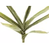 EUROPALMS umelá vetvička juky (EVA), zelená 82531063