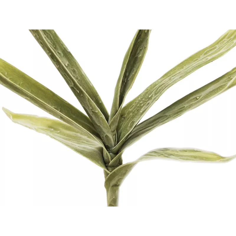 EUROPALMS umelá vetvička juky (EVA), zelená 82531063