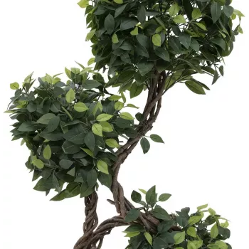 EUROPALMS Ficus Multi Spiral Trunk umelá rastlina, 160 cm 82501563