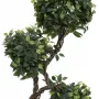 EUROPALMS Ficus Multi Spiral Trunk umelá rastlina, 160 cm 82501563