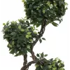 EUROPALMS Ficus Multi Spiral Trunk umelá rastlina, 160 cm 82501563