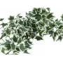 EUROPALMS Holland Ivy Bush Screen Classic, umelý, 100 cm 82502212
