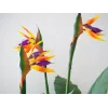 EUROPALMS Strelitzia umelá rastlina, 90 cm 82540502