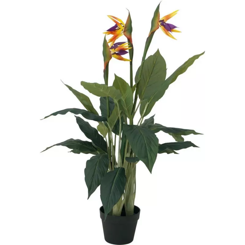 EUROPALMS Strelitzia umelá rastlina, 90 cm 82540502