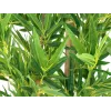 EUROPALMS Bambus deluxe, umelá rastlina, 150 cm 82509166