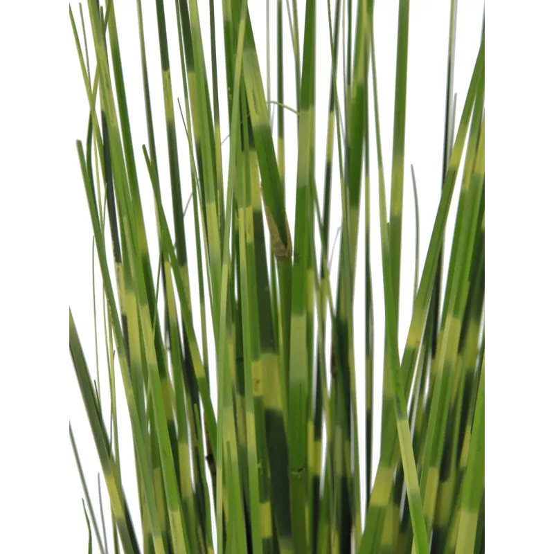 EUROPALMS Zebra Grass, umelá, 90 cm 82505863
