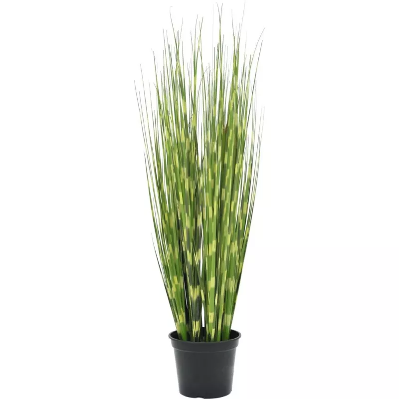 EUROPALMS Zebra Grass, umelá, 90 cm 82505863