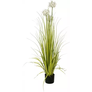 EUROPALMS Alliumgras umelá rastlina, biela, 120 cm 82600169