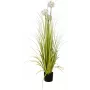 EUROPALMS Alliumgras umelá rastlina, biela, 120 cm 82600169