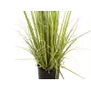 EUROPALMS vždyzelený ker s trávou, umelá rastlina, 182 cm 82600185