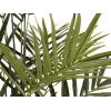 EUROPALMS Kentia palma umelá rastlina 300cm 82511369