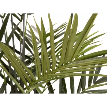 EUROPALMS Kentia palma umelá rastlina 300cm 82511369