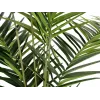 EUROPALMS Kentia palma umelá rastlina 240cm 82511368