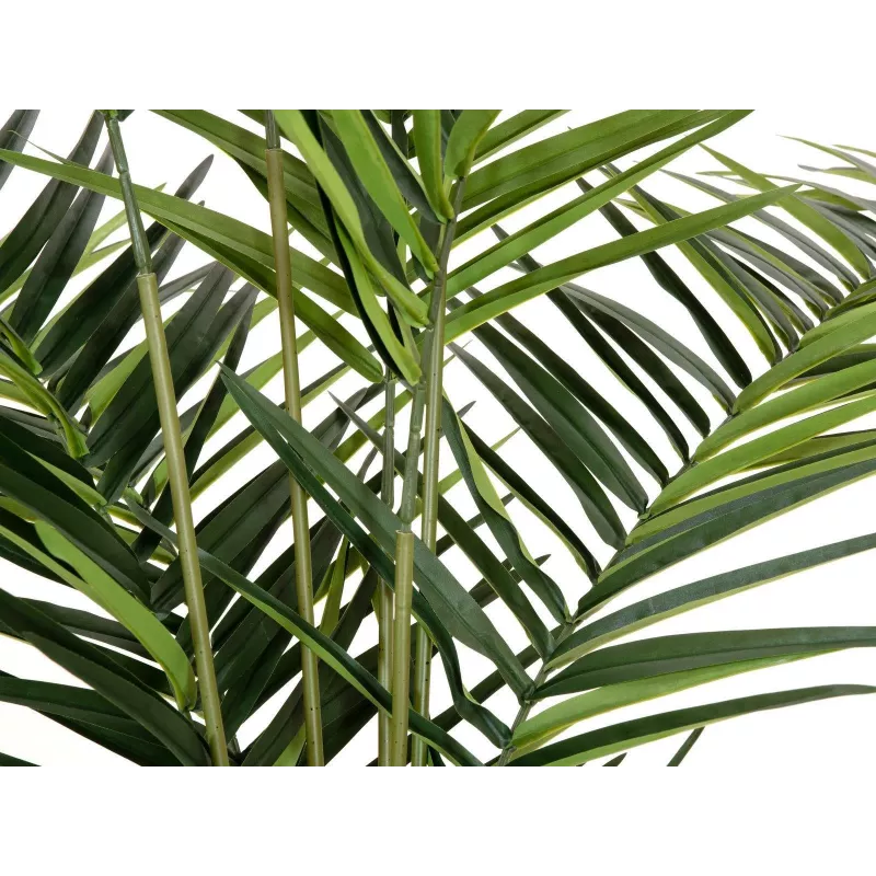 EUROPALMS Kentia palma umelá rastlina 240cm 82511368