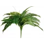 EUROPALMS Boston Farn umelá rastlina, 53cm, zelená 82519934