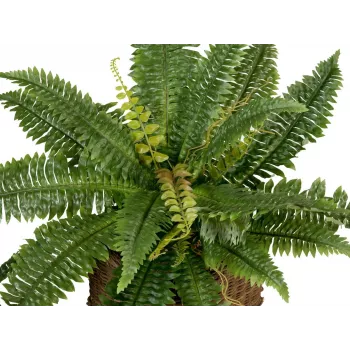 EUROPALMS Boston Farn umelá rastlina, 53cm, zelená 82519934